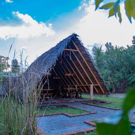 Dinna Nature Hostel Szigirija Kültér fotó