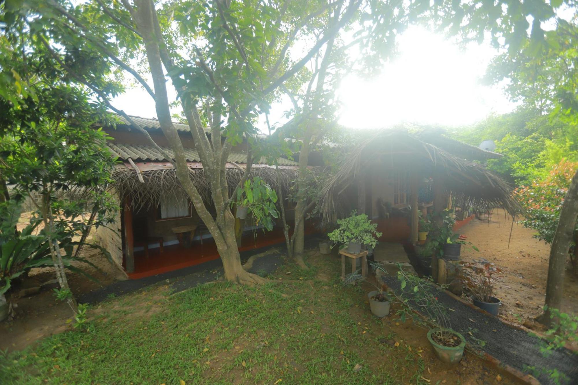 Dinna Nature Hostel Szigirija Kültér fotó